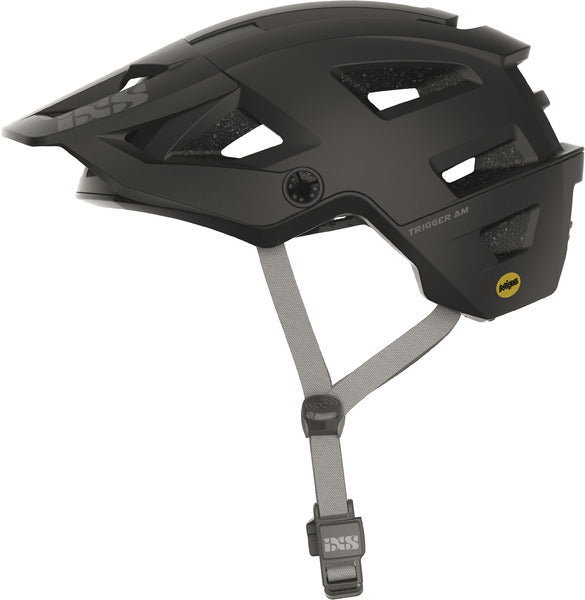 IXS Trigger Am Mips